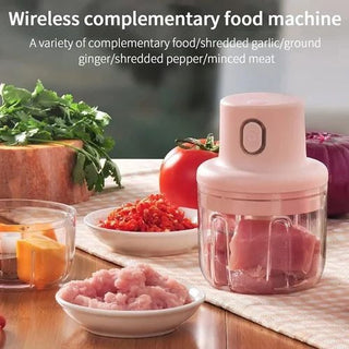 Electric Mini Chopper