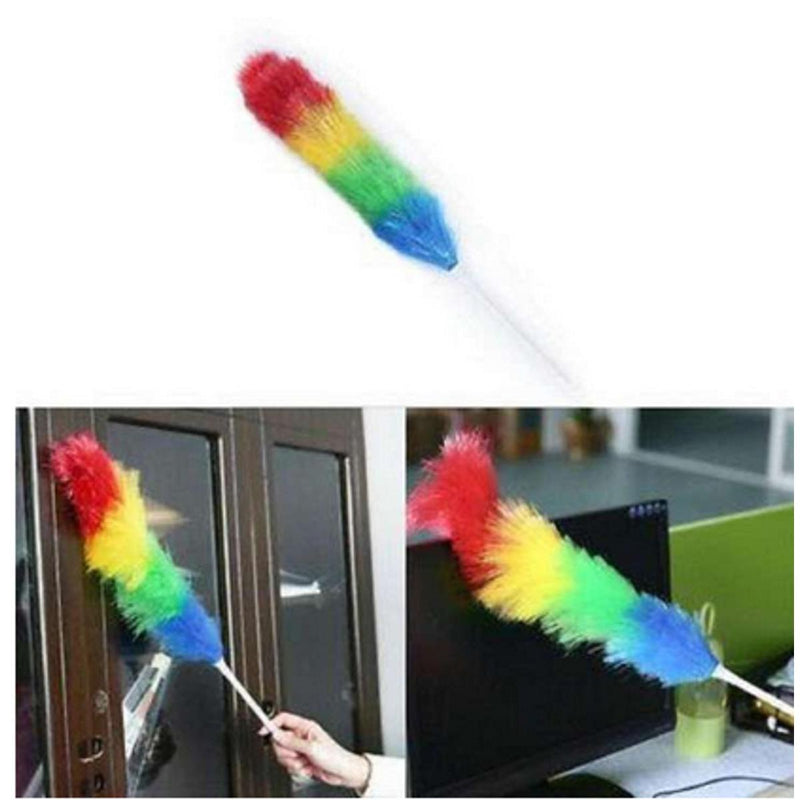 Rainbow Feather Duster